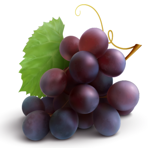 Виноградный сироп